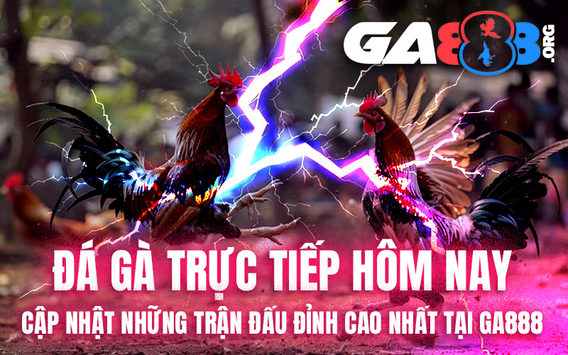 Đá Gà Trực Tiếp Hôm Nay – Cập Nhật Những Trận Đấu Đỉnh Cao Nhất Tại GA888