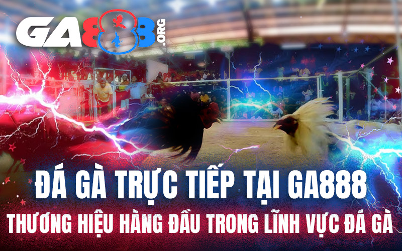 Đá Gà Trực Tiếp Tại GA888 - Thương Hiệu Hàng Đầu Trong Lĩnh Vực Đá Gà