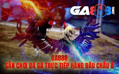 GA888 – Sân Chơi Đá Gà Trực Tiếp Hàng Đầu Châu Á