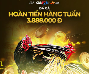 Đá gà Hoàn tiền hàng tuần 3.888.000 đ