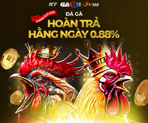 Đá Gà Hoàn trả hằng ngày 0.88%