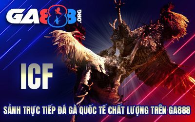 ICF – Sảnh Trực Tiếp Đá Gà Quốc Tế Chất Lượng Trên GA888