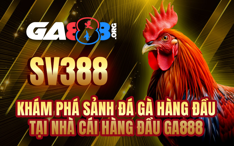 SV388 – Khám Phá Sảnh Đá Gà Hàng Đầu Tại Nhà Cái Hàng Đầu GA888