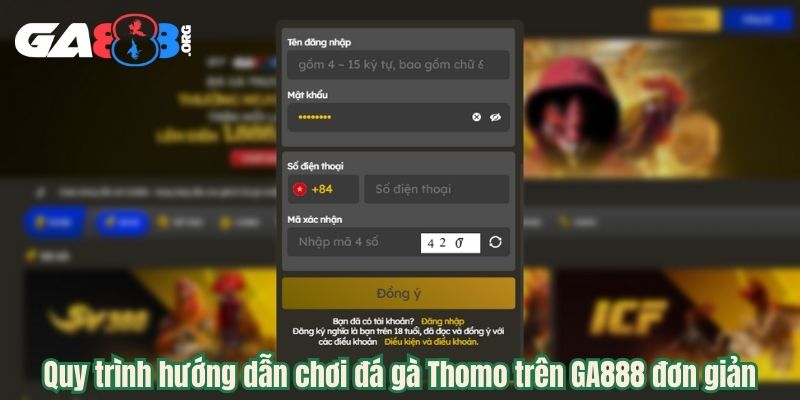 Quy trình hướng dẫn chơi đá gà Thomo trên GA888 đơn giản